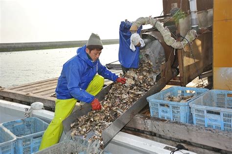 養殖方法|養殖魚ができるまで 